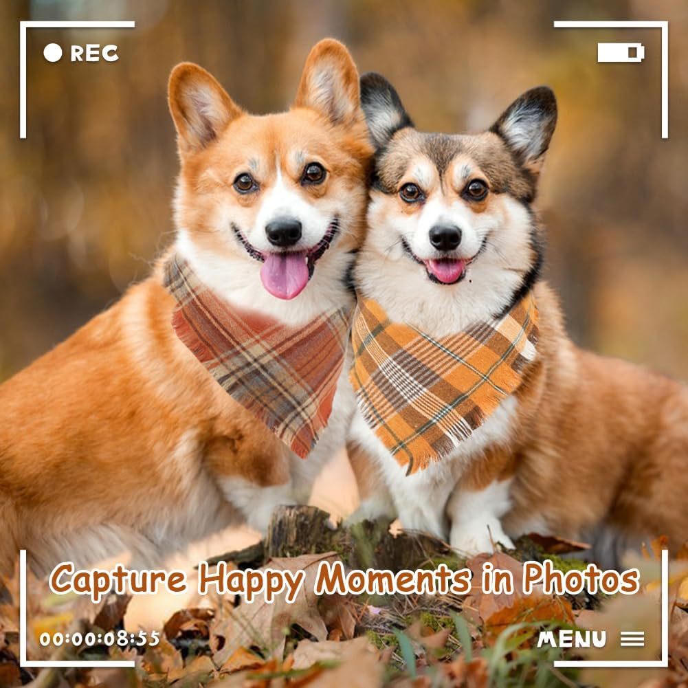 Bandana Écharpe pour Chien – Style Plaid Automne & Hiver, Doux & Confortable
