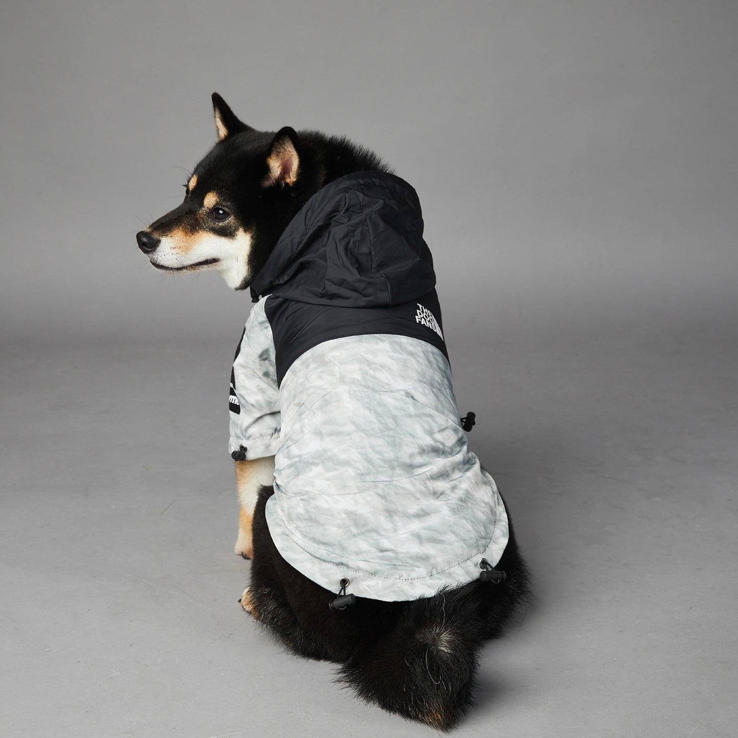 Veste Coupe-Vent pour Chien – Style Urbain, Chaude & Confortable