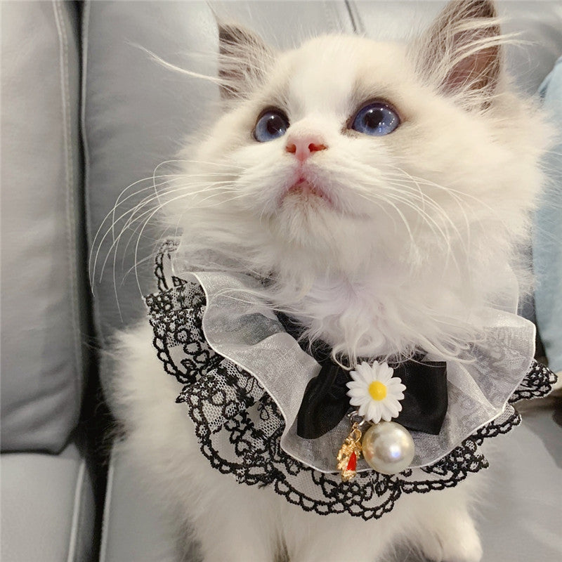 Collier Décoratif Élégant pour Chat – Dentelle, Nœud & Fleur Daisy