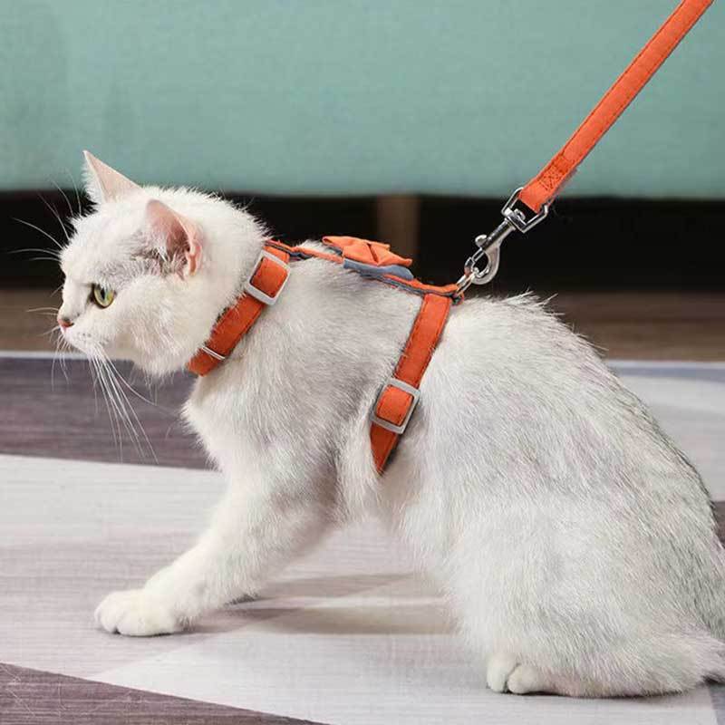 Harnais & Laisse pour Chat avec Nœud Papillon – Confortable, Ajustable & Élégant