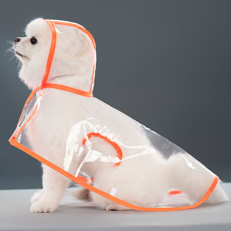 Imperméable Transparent pour Chien – Léger, Confortable & Anti-Pluie