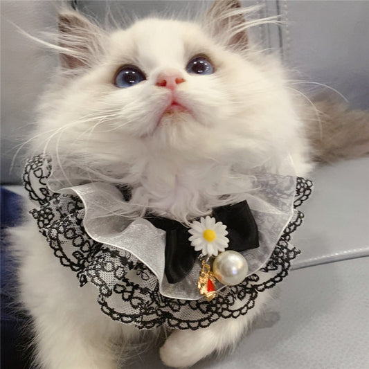 Collier Décoratif Élégant pour Chat – Dentelle, Nœud & Fleur Daisy