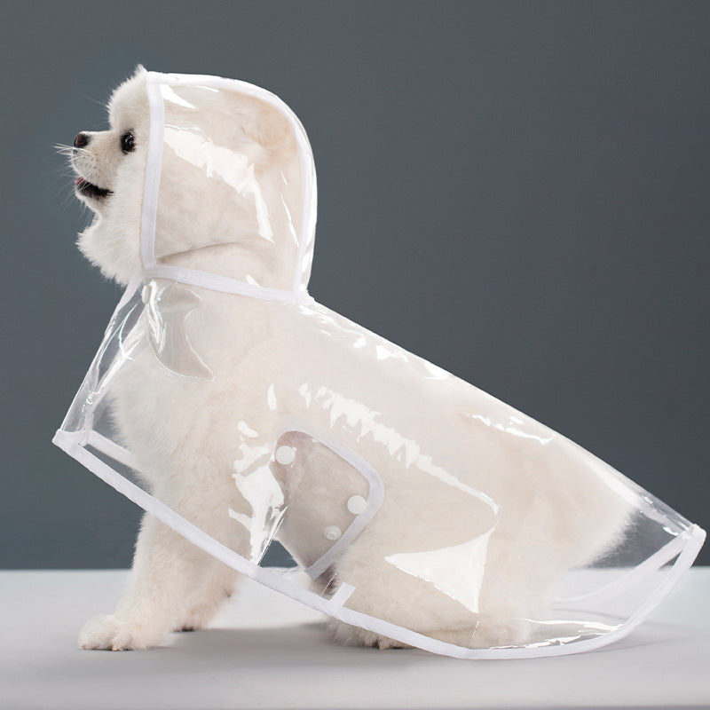 Imperméable Transparent pour Chien – Léger, Confortable & Anti-Pluie