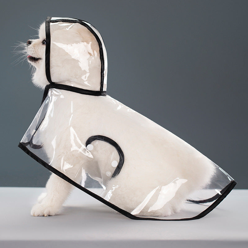 Imperméable Transparent pour Chien – Léger, Confortable & Anti-Pluie